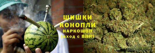 прущие грибы Навашино