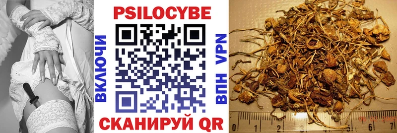 Псилоцибиновые грибы GOLDEN TEACHER  наркота  Сольвычегодск 